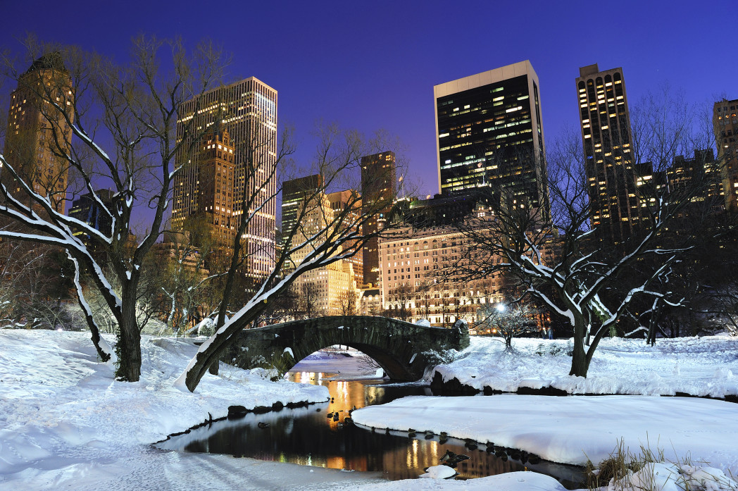 Central Park en invierno