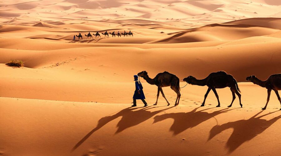sahara