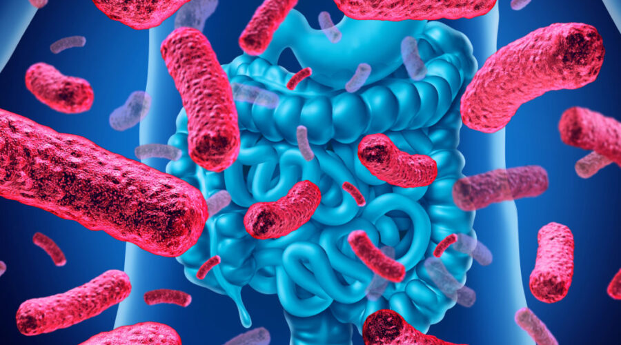 flora intestinal